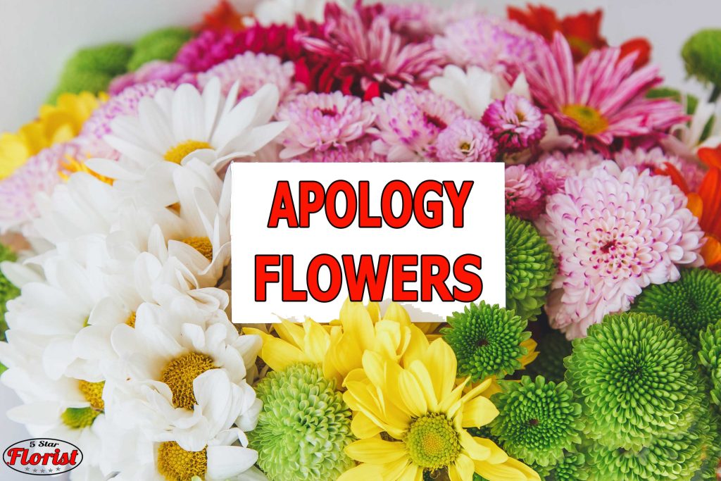 apology flowers New York